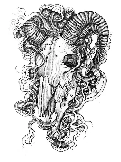 The final, scanned version of the ram skull.