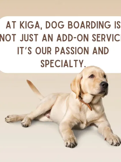 At Kiga, dog boarding is not just an add-on service. It's our core passion and specialty, built on years of experience in dog behavior.
