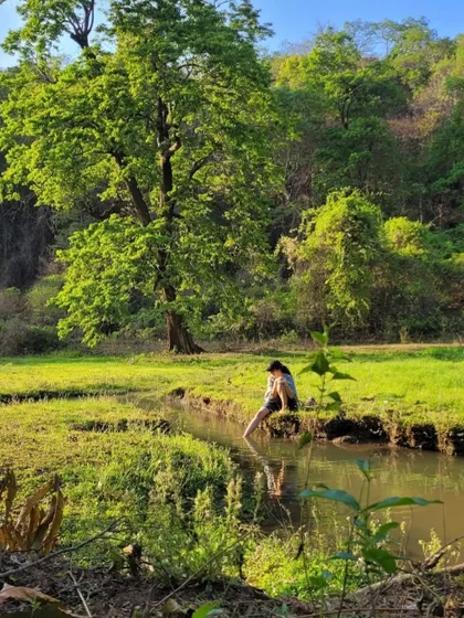 When I say Malnad is heaven, this is what I mean. These are scenes from my family's home, a place of incredible natural beauty that constantly inspires my work and my connection to the earth.