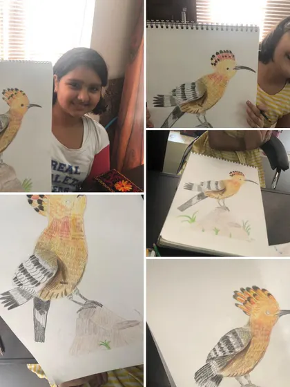 I am so proud of the incredible detail my students achieved in these Hoopoe bird drawings. We focused on pencil coloring and shading techniques to capture the texture of the feathers and the bird's unique features, and the results are just amazing.