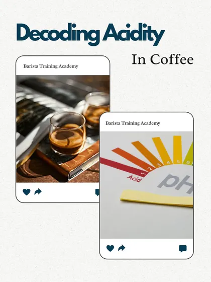 An introduction to decoding acidity in coffee. We explain the different types of acids, like malic and citric, that shape a coffee's vibrance.