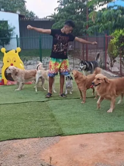 The whole gang is here. Our staff loves getting involved in the fun, encouraging positive interactions between all the dogs in our care.