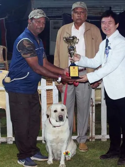 One of our clients receiving a trophy for his Labrador's excellent performance. It's a joy to see the bond and hard work pay off in the competition ring.