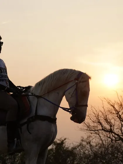 There's nothing like a ride during the golden hour. The sunset casts a magical light over our trails, creating the perfect silhouette for stunning photos and peaceful moments.