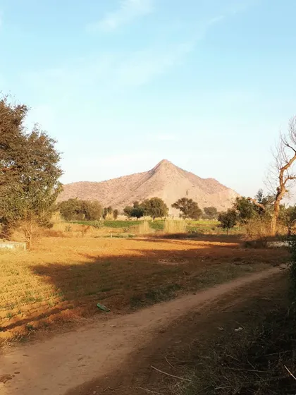 The stunning natural landscape and mountain view at the location of a new project. The architecture will be designed to honor and frame this incredible setting.