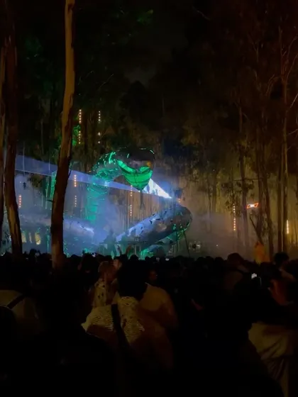 The view from the crowd at Echoes of Earth. The stage production, the forest setting, and the music all come together to create a magical, hypnotic experience.
