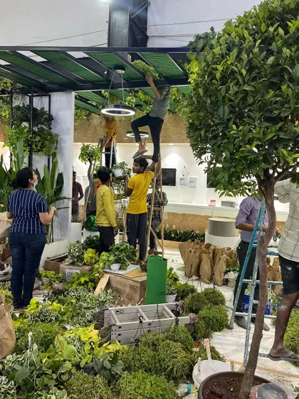 Getting every plant perfectly positioned is key. Our installation team uses ladders and careful coordination to arrange greenery at all levels, from the floor to the ceiling.