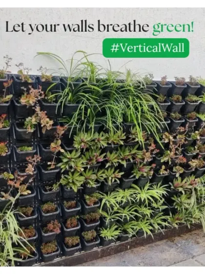 This shows a smaller, more contained vertical garden, ideal for adding a touch of nature to a wall without overwhelming the space. It features a mix of spider plants and succulents.