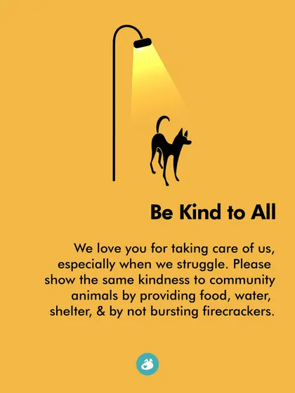 Be kind to all animals during festivals. Please show the same kindness to community animals by providing food, water, and shelter.