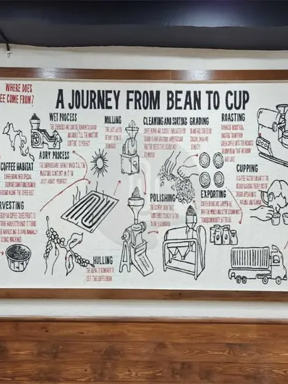 An infographic-style mural illustrating the "Bean to Cup" journey of coffee. This detailed doodle art for Pizza Wing in Panipat is both educational and visually captivating for coffee lovers.