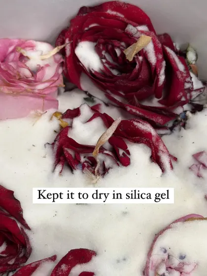 A photo-vlog of the process. This image shows fresh varmala flowers being kept to dry in silica gel, a crucial step to ensure they are perfectly preserved.