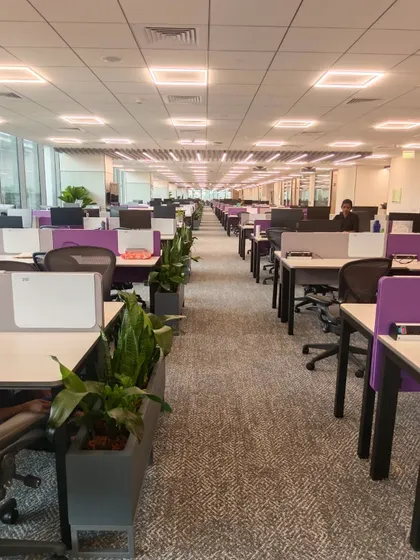 The open-plan workspace at VeArc, where planters are used as dividers between desk clusters. This strategy helps define zones, provide a degree of privacy, and ensure every employee is in close proximity to nature.