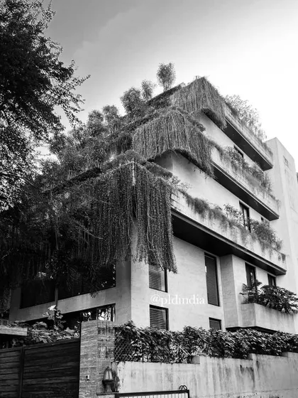 A black and white view emphasizing the texture and form of the cascading greenery. This perspective highlights the dramatic interplay between the building's clean lines and the organic, flowing nature of the plants.