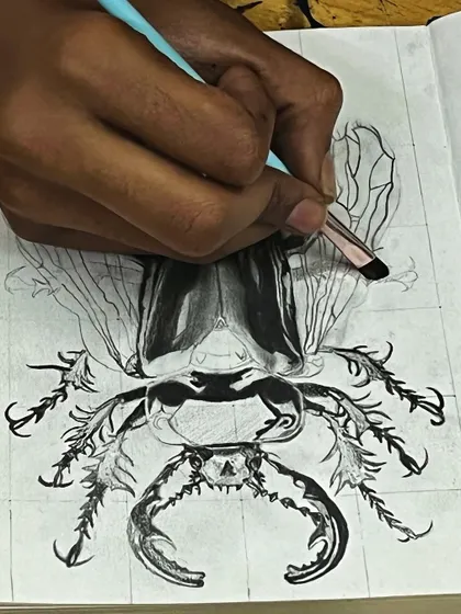 The final stages of a detailed insect drawing. Using fine-tipped pens and pencils, the student adds the finishing touches that bring the creature's form and texture to life.