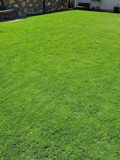 An expansive, perfectly green lawn created using our premium artificial turf. This provides a durable and safe play zone for children and pets all year round, without any mud or brown patches.