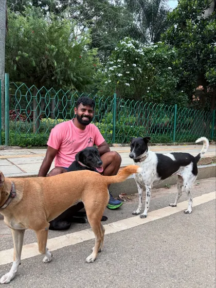 The pack grows. More of my paw friends joining the post-run relaxation.