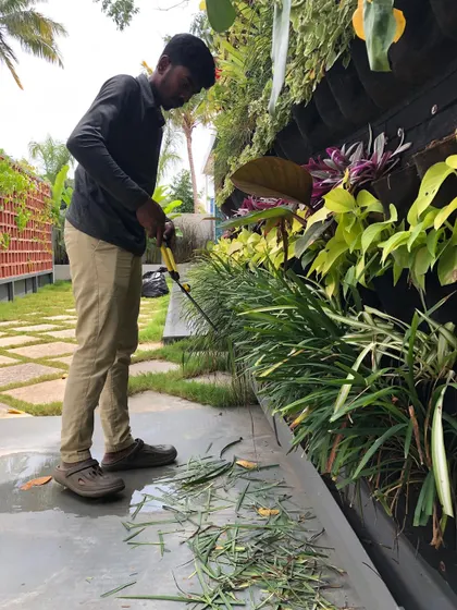 Trimming the grass at the base of a vertical garden is part of our routine maintenance. It’s this attention to every detail that ensures the entire installation looks clean and well-cared-for.