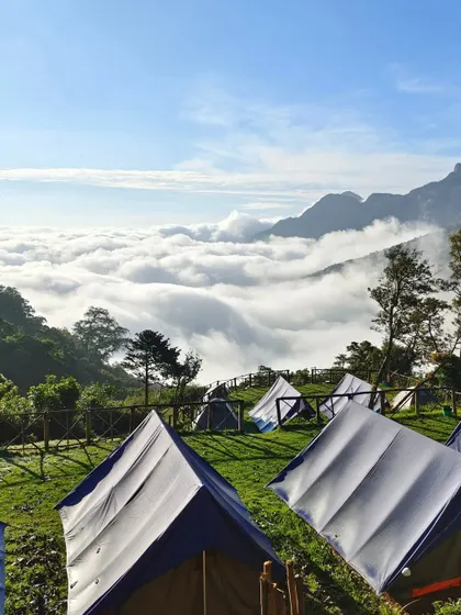 Tents glowing under the night sky at the Munnar campsite.