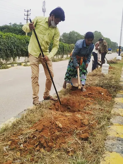 This image shows our team digging and preparing the site for the large-scale avenue plantation project, ensuring each tree has the best start.