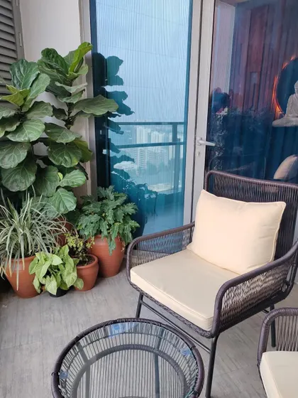 The other side of the Zen balcony, featuring a large Fiddle Leaf Fig and other foliage plants in terracotta pots. This corner provides a lush, green contrast to the seating area, with a beautiful view of the city.