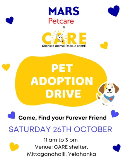 An invitation to our pet adoption drive. We regularly host these events at our shelter to make it easy for people to come and meet our wonderful animals.