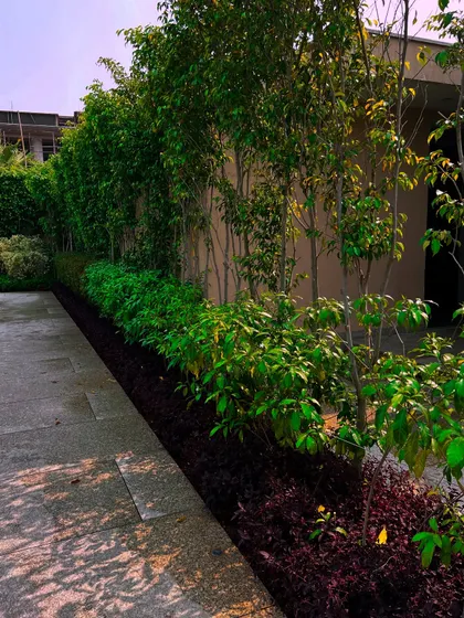A pathway lined with layered greenery, including tall screening trees and lower shrubs. This technique is effective for creating privacy and a sense of enclosure.
