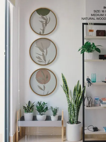 This set of three minimalist botanical prints is shown in a cozy corner, demonstrating how our circular frames can create a unique gallery wall. The simple designs and natural wood frames add a touch of serene nature.