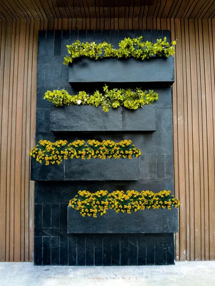 A minimalist and modern take on a vertical garden. This design uses sleek black planters mounted on a dark slate wall, with simple yellow and green plants for a clean, geometric look.