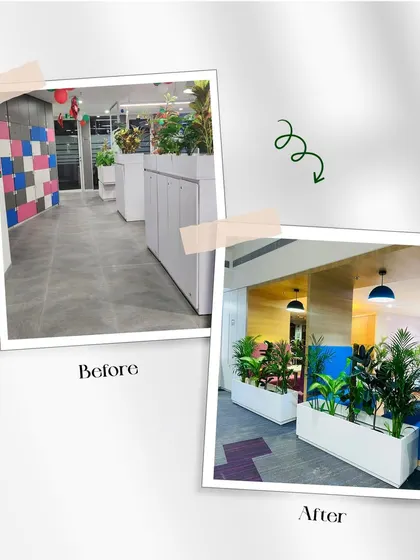 Another before and after view of an office transformation. What was once a generic hallway with a colorful but plain wall is now a sophisticated space defined by clean lines and refreshing greenery.