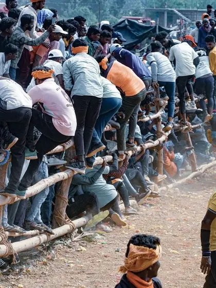 The crowd eagerly watches the 'Hattihabba' festivities from a wooden barricade. This image highlights the community aspect of the event and the shared experience of the spectators.