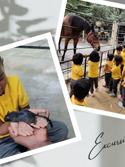 From holding a tiny mouse to watching a large horse, our excursions cover animals of all shapes and sizes, broadening the children's understanding of the animal kingdom.