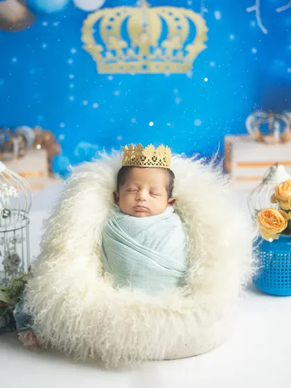 A peaceful portrait of the sleeping prince in his royal blue kingdom. The setup includes elegant details like a birdcage and flowers.