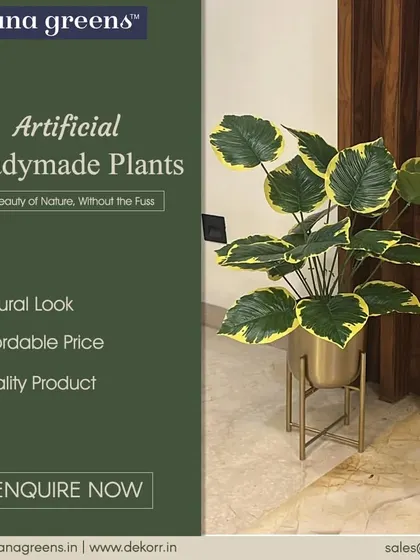 The beauty of nature, without the fuss. This readymade plant with variegated leaves is a quality product at an affordable price, perfect for adding a stylish touch to your home.