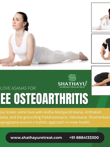 An infographic showing gentle asanas to help manage knee osteoarthritis. Our approach is therapeutic, using yoga as a tool to support joint health and reduce pain.