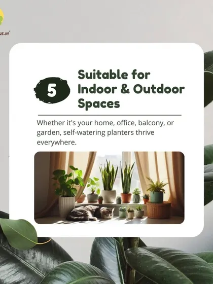 Our self-watering planters are versatile enough for any environment. They are built to thrive everywhere, from your living room and office to an outdoor balcony or garden.