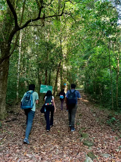 The journey begins. Our first batch of the season enters the dense forest trail of Kumara Parvatha, with the crunch of leaves underfoot and the sound of birdsong overhead.