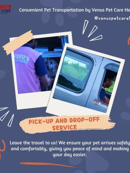 Your convenience is important to me. I offer a safe and comfortable pick-up and drop-off service in an AC van, so your pet's journey to their grooming or boarding session is completely stress-free.