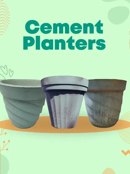 Our cement planters offer a modern, industrial look for your plants. They are available in various shapes and sizes to suit your decor.