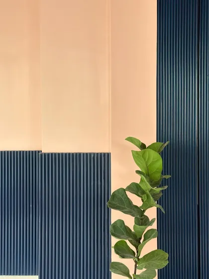 A close-up of the fluted paneling and the fiddle-leaf fig plant, showing how natural elements were incorporated to soften the modern interior.