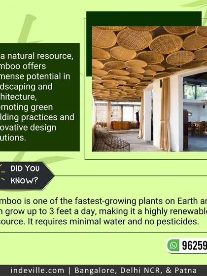 Did you know bamboo is one of the fastest-growing plants on Earth? This graphic explains the sustainable properties of bamboo, which is why it is a cornerstone material in my eco-friendly design and architecture work.