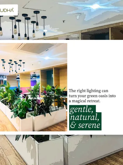 The right lighting is crucial for a green oasis. In this office, I paired industrial-style Edison bulbs with lush planters to create a gentle, natural, and serene retreat within the workspace.