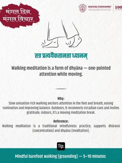 Dhyana, or meditation, is the steady, one-pointed flow of attention. We teach that even a simple act like walking can become a form of meditation when done with mindful awareness, grounding you in the present moment.