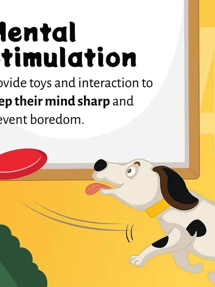 A bored pet can become a destructive pet. We explain the importance of mental stimulation through interactive toys and playtime to keep their minds sharp and prevent behavioral issues.