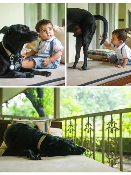 A three-panel story showing a toddler's curious interactions with his black indie dog at home.