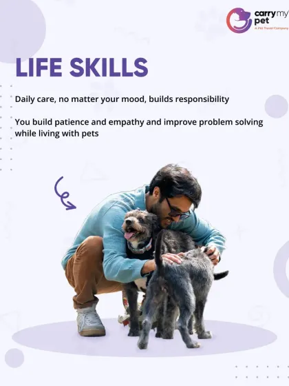 Caring for a pet builds essential life skills like responsibility, patience, and empathy. They teach you to solve problems and care for another being, no matter your mood.
