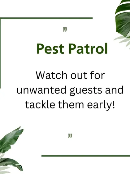 A healthy garden requires vigilance. This tip emphasizes the importance of pest patrol: watch out for unwanted guests and tackle them early before they can cause significant damage.