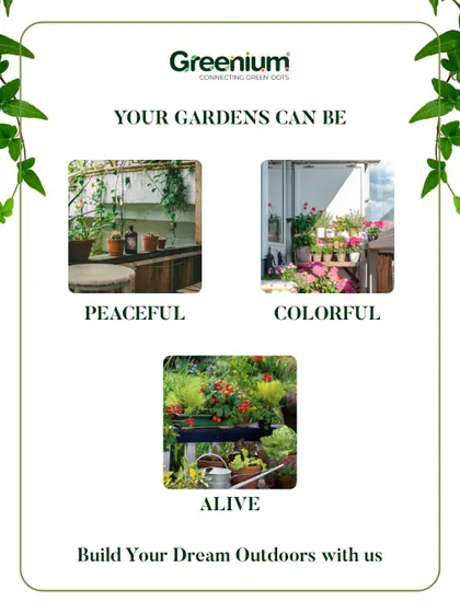 Your gardens can be peaceful, colorful, and alive. This collage shows different garden styles to inspire you to build your dream outdoors with us.