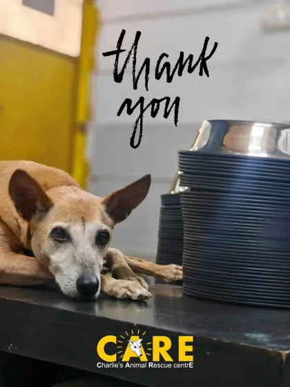 Bowled over with your kindness! A huge thank you to all the wonderful people who donated 231 bowls in response to our drive. Our senior resident here is very grateful.