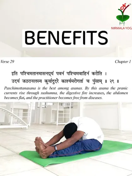 Paschimottanasana is described in ancient texts as one of the best asanas. It increases the digestive fire, helps flatten the abdomen, and frees the practitioner from diseases by stimulating the internal organs.