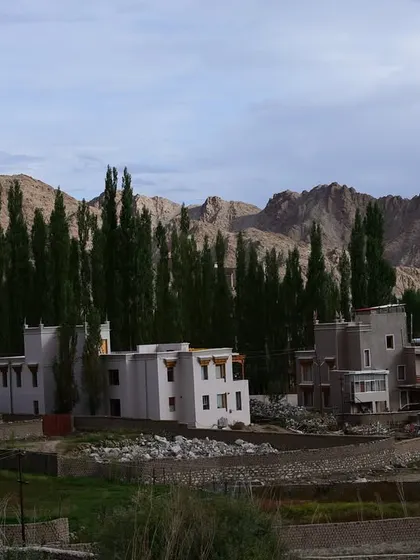A view of traditional Ladakhi architecture and poplar trees, showing the unique character of the region where we train.